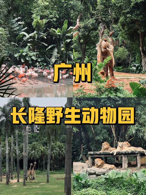 廣州長隆野生動物園旅遊